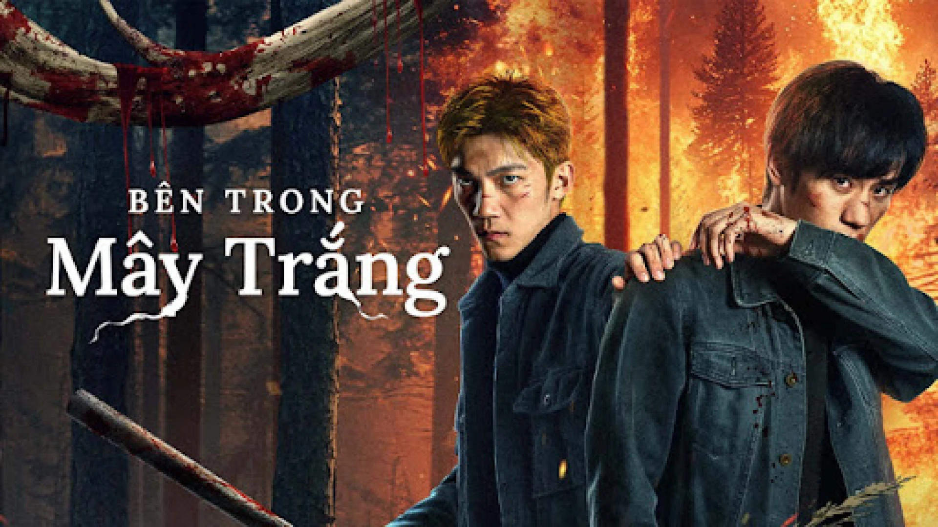 Bên Trong Mây Trắng