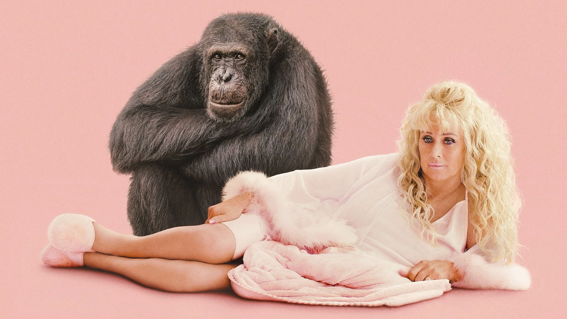 Chimp Crazy - Chimp Crazy