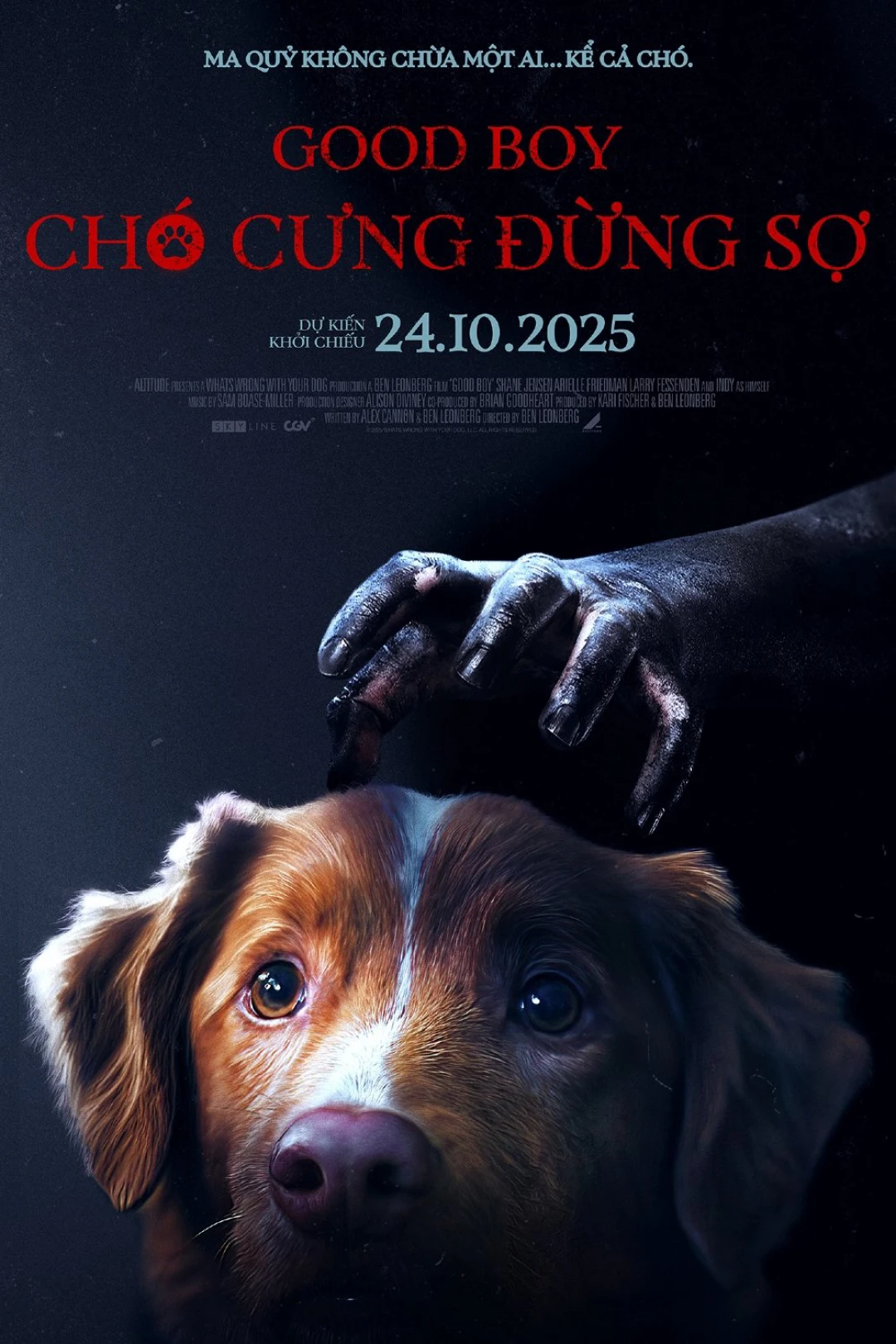 Chó Cưng Đừng Sợ