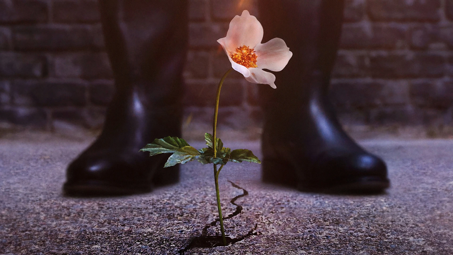 Thế Giới Của Phát Xít (Phần 3) - The Man in the High Castle (Season 3)